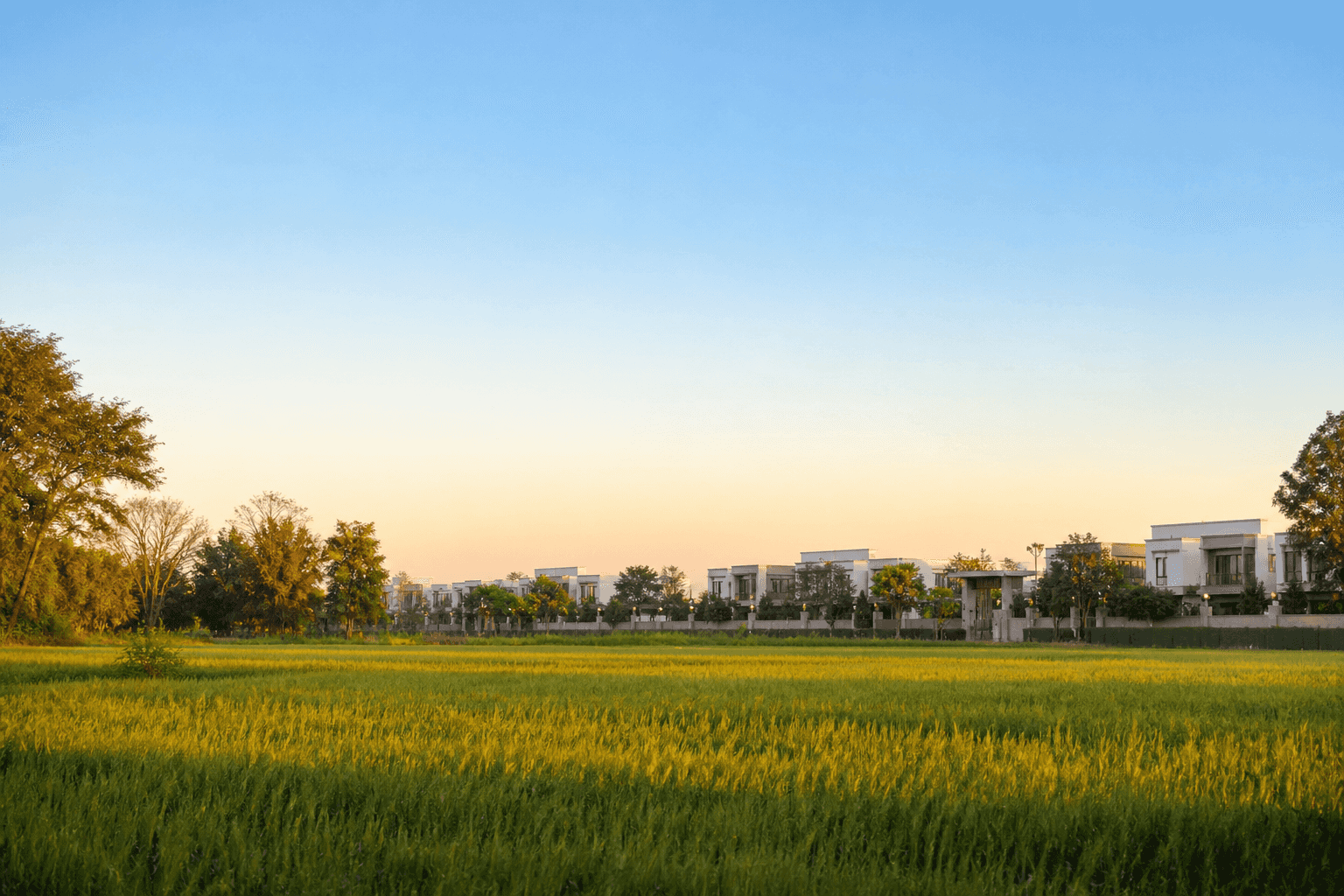 Open green plains under a clear sky