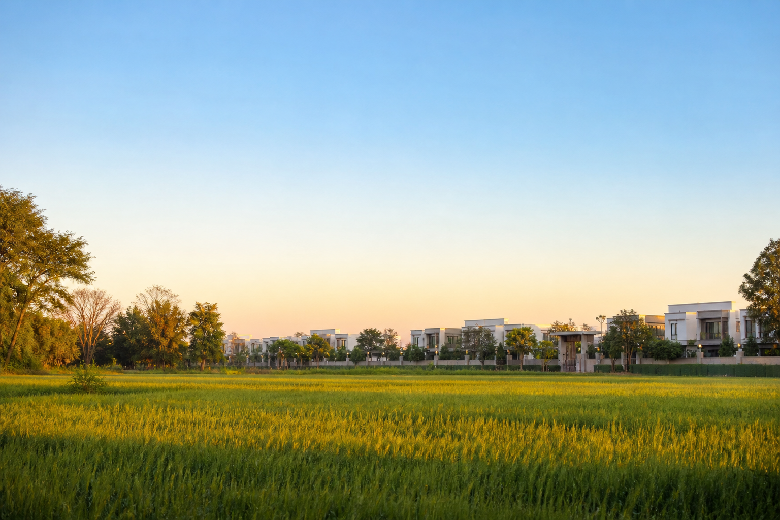Open green plains and a planned township under a clear sky