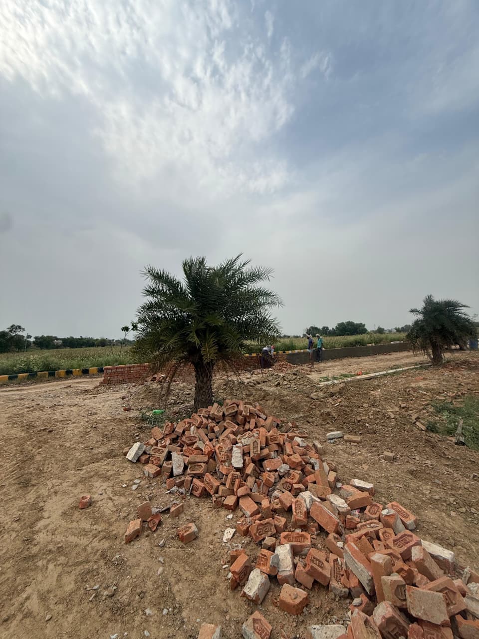 Open plot land and planting at Hari Shyam Township